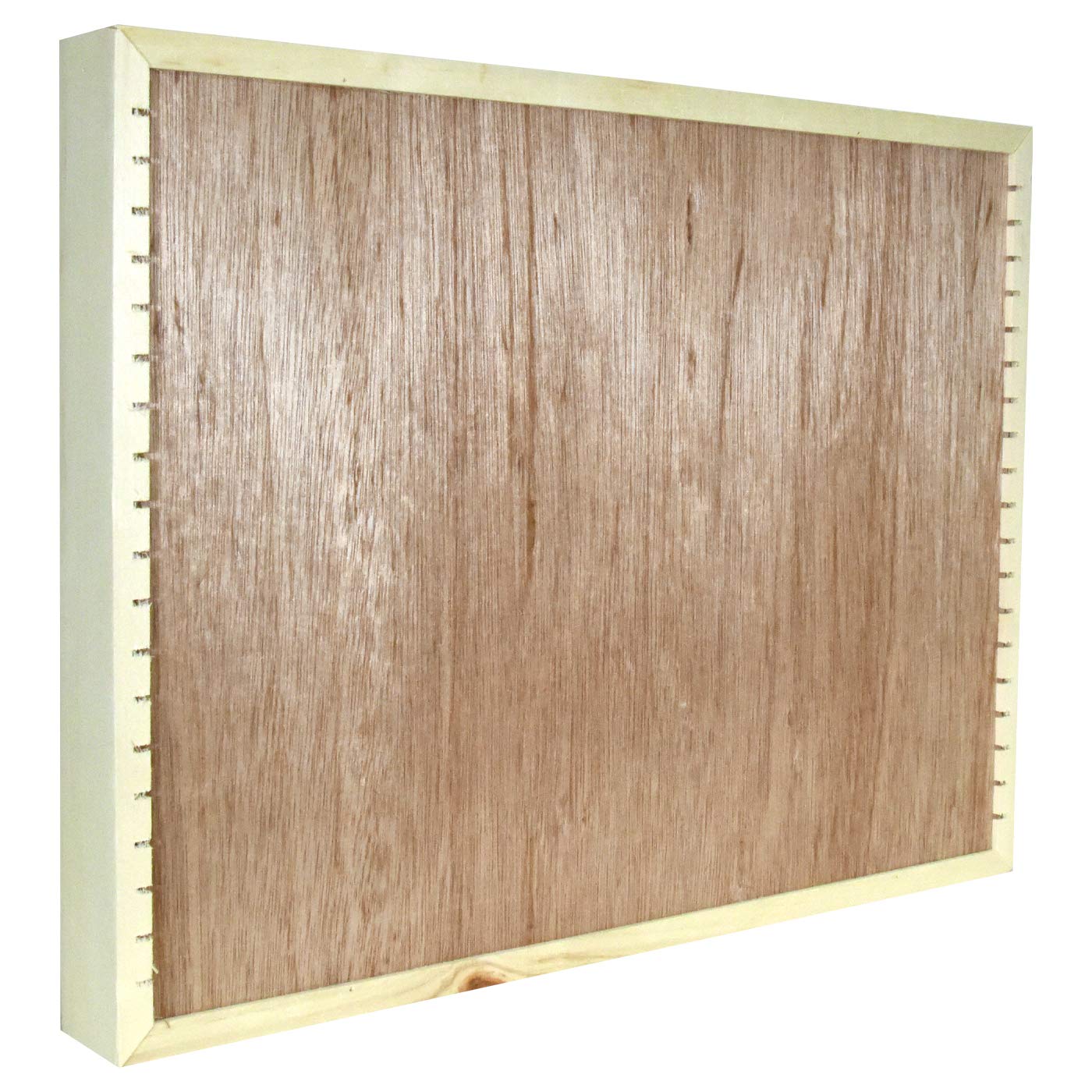 Kingdom LW100 5 x 20 Unfinished Wood Cassette Rack, 100 Capacity