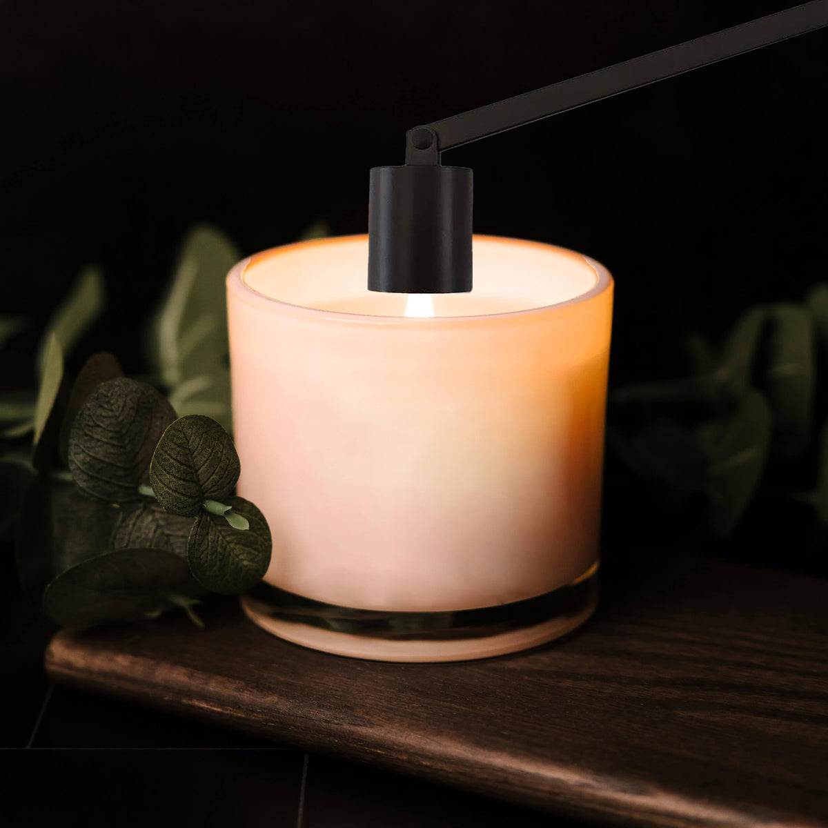 JHZABPO Candle Snuffer, Candle Snuffer Extinguisher with Long Handle, Black Stainless Steel Wick Flame Snuffer for Putting Out Candle Flame Safely