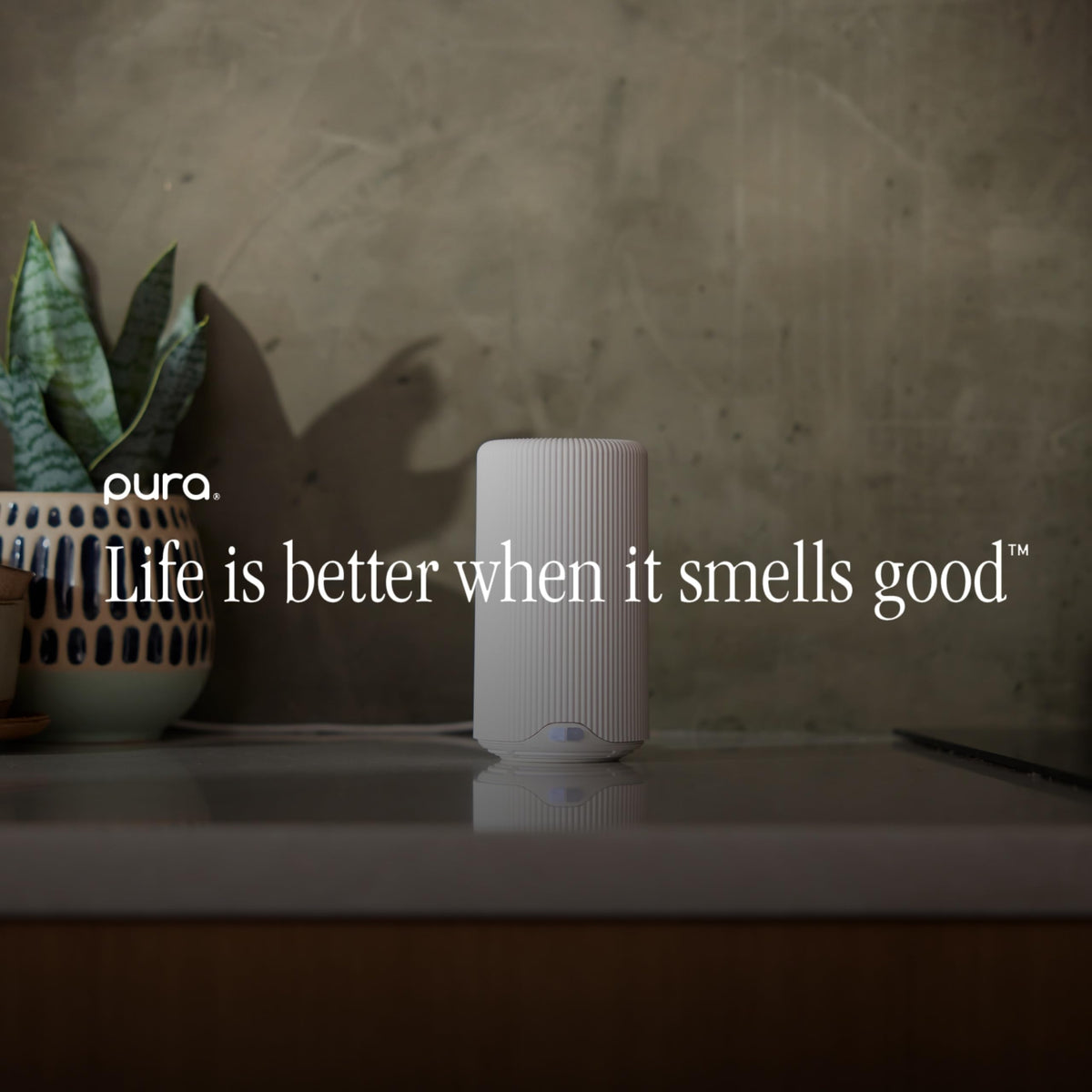 Pura Plus Smart Home Fragrance Diffuser for Large Spaces - Adjust Scent Intensity, Set Schedules, Timers & More in App - Fragrances Sold Separately - White