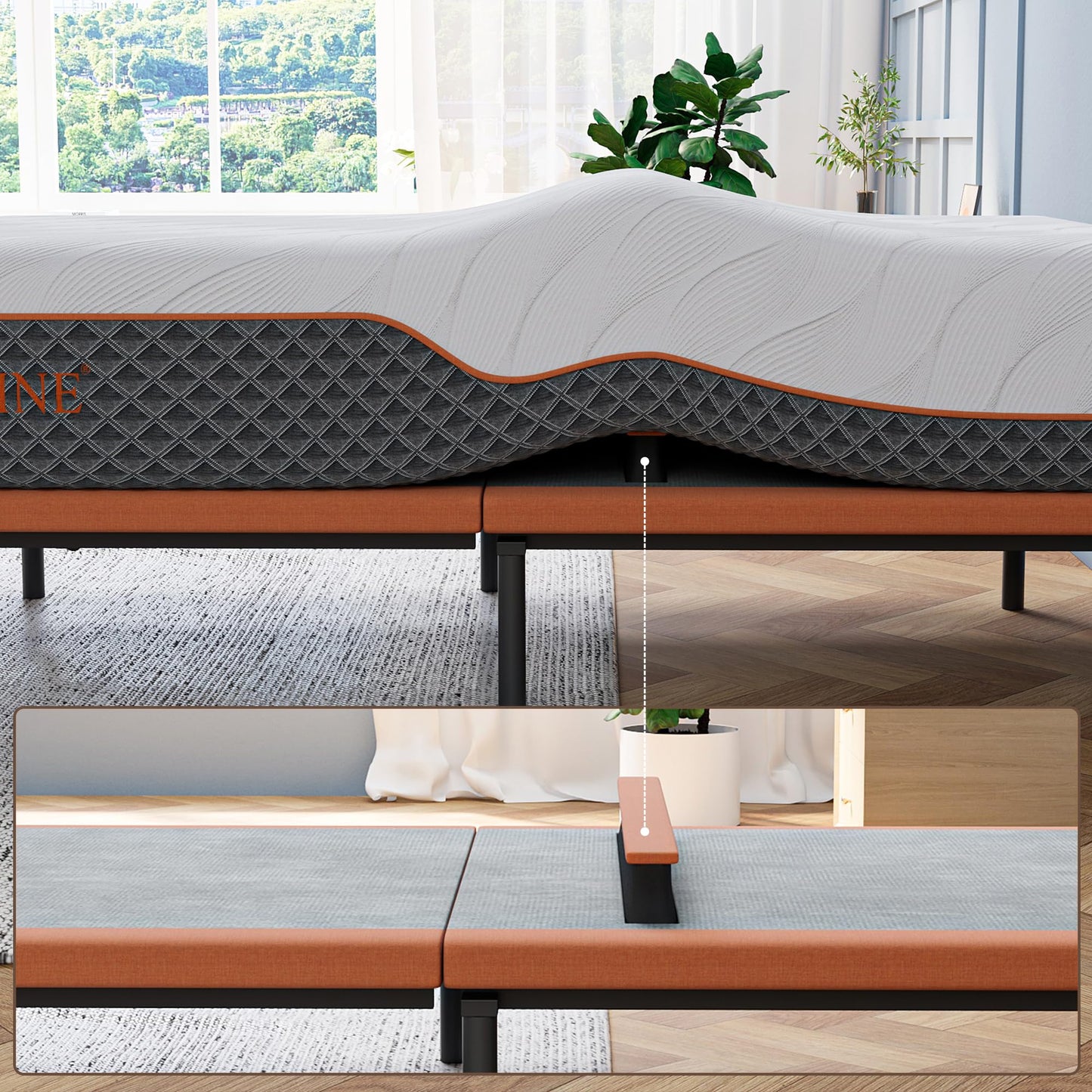 ESHINE Queen Adjustable Bed Frame with Lumbar Support Smart App