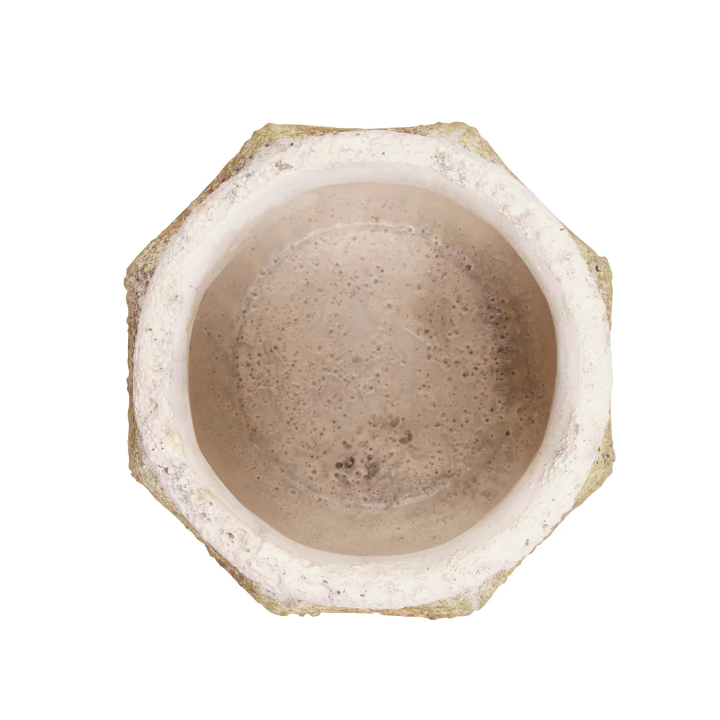 ANCIENT LEAF CEMENT FLOWER POT SET/2