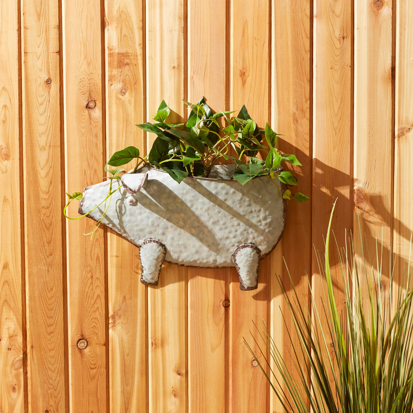 PIG GALVANIZED WALL PLANTER