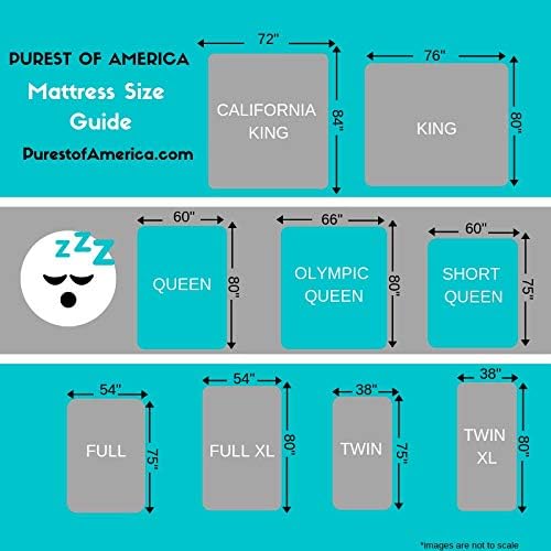 Euro 13" Olympic Queen Mattress