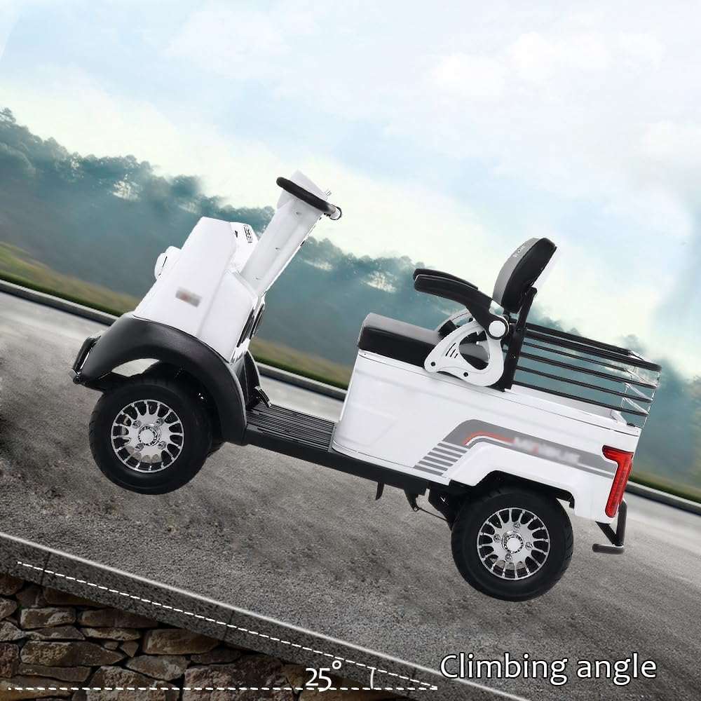 Electric Golf Cart Passenger Cruiser, Powered Mobility Scooters with Capacity Storage Trunk, Charge with Standard 120V Outlet Electric Passenger Cart, 28Mile Range and a Speed of 12MPH(White-Lithium)