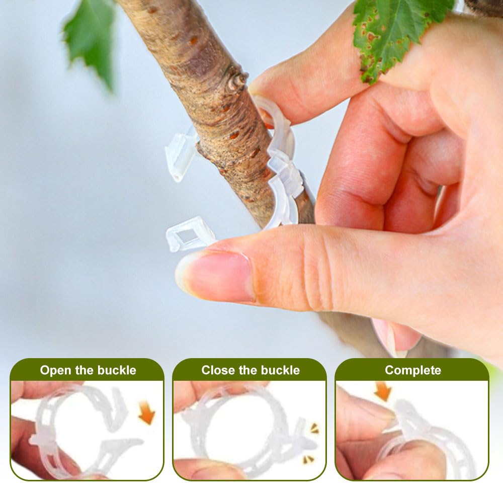 100 PCS Secured Plastic Plant Clip, Plant Support Clips, Garden Clips for Climbing Plants, Plastic Trellis Clips Plant Support Clips Tomato Grape Vine Vegetables Plant Fixing Clips (100, Green)