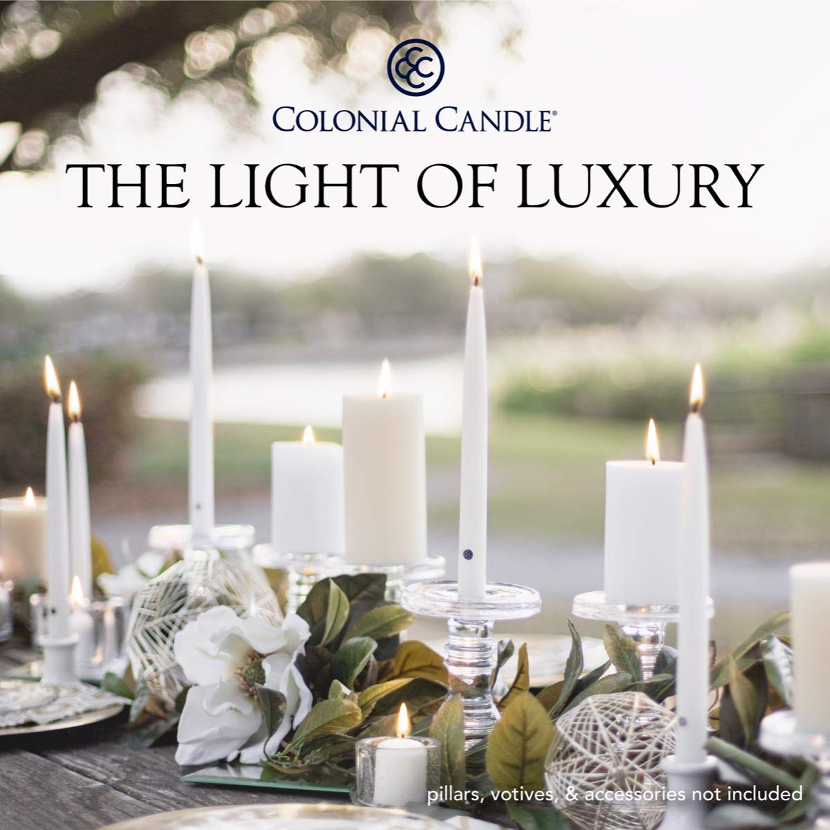 Colonial Candle Unscented Taper Candle, Handipt Collection, Mulberry, 10 in, Pack of 12 - Up to 8 Hours Burn