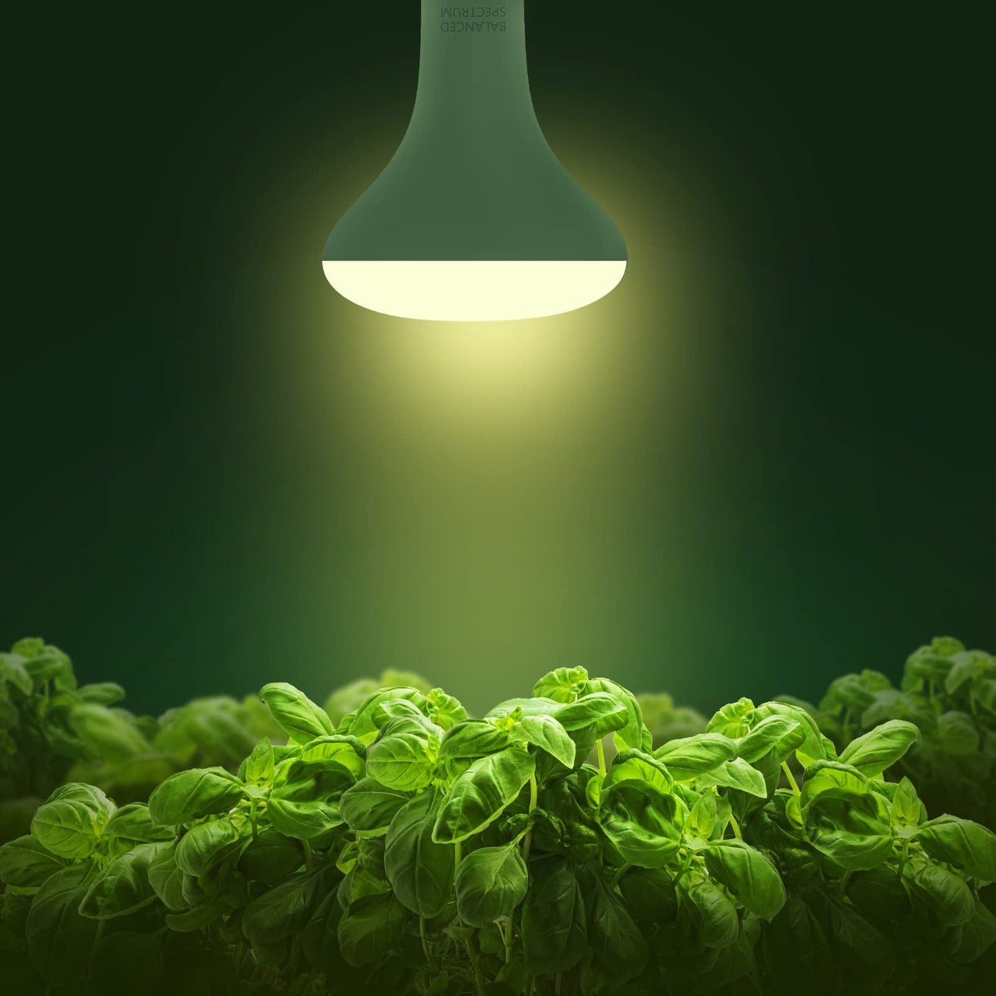 Briignite 2 Pack LED Grow Light Bulb, BR30 Grow Light Bulbs, Full Spectrum Grow Light 12W, Plant Light Bulbs, Grow Light for Indoor Plants, Seedlings, Greenhouse, Hydroponic