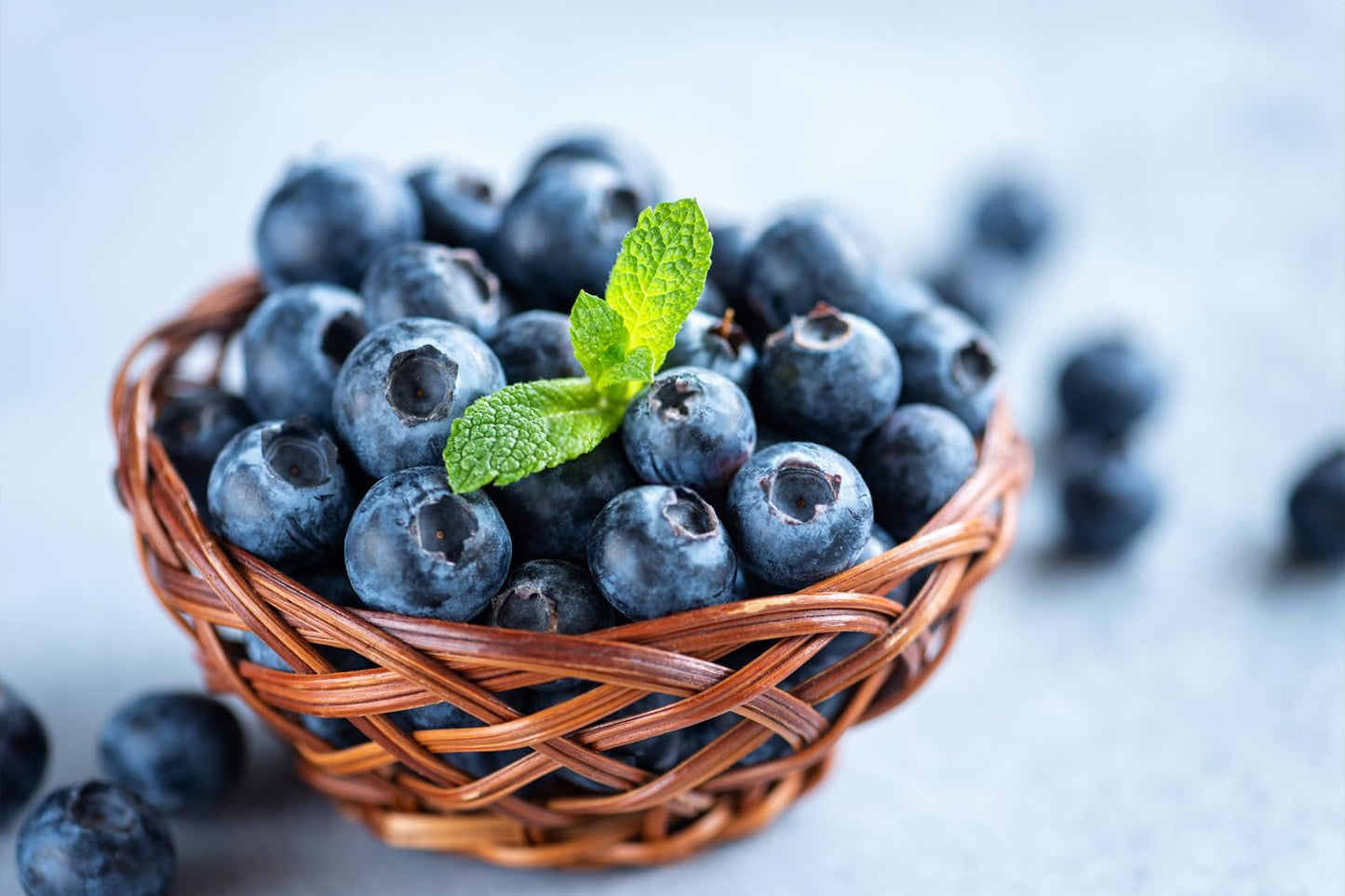 1200+ Mix Fruit Seeds Berry Seeds for Planting (9 Varieties) Heirloom Strawberry Raspberry Mulberry Apple Orange Blueberry Lemon Elderberry Cherry Seed for Home Garden