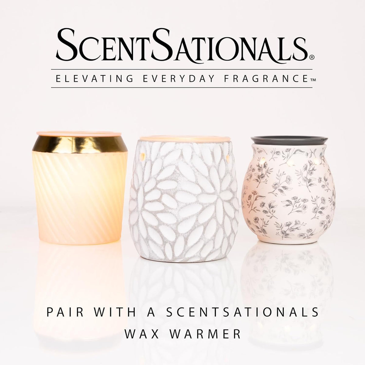 Scentsationals Fallen Leaves, Autumn Air Fall Wax Melts 10oz (24 Cubes)