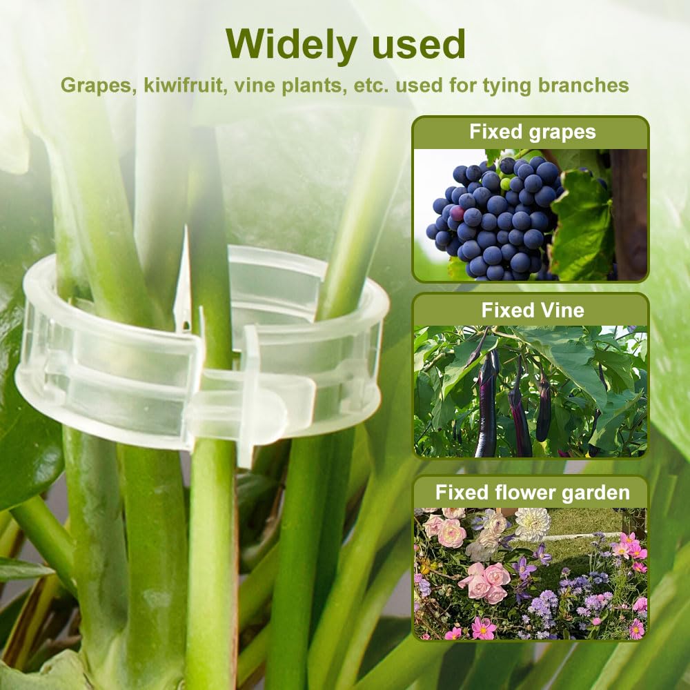 100 PCS Secured Plastic Plant Clip, Plant Support Clips, Garden Clips for Climbing Plants, Plastic Trellis Clips Plant Support Clips Tomato Grape Vine Vegetables Plant Fixing Clips (100, Green)