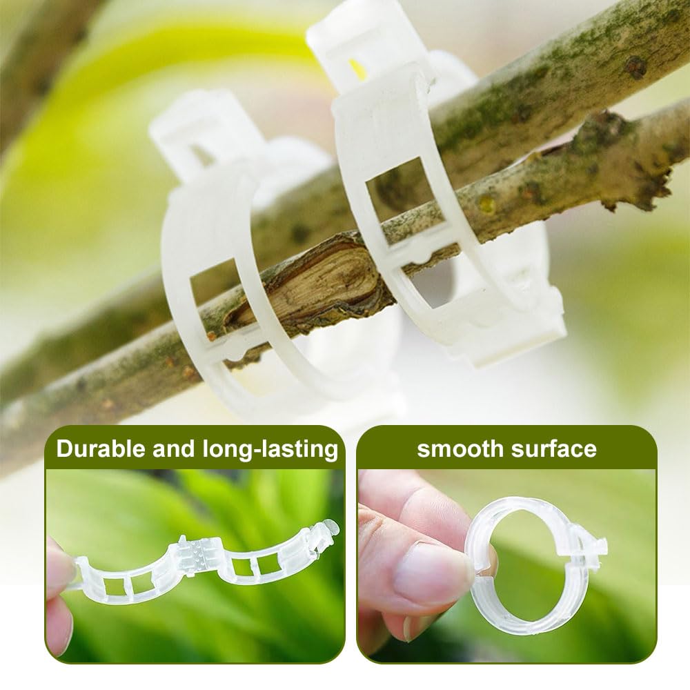 100 PCS Secured Plastic Plant Clip, Plant Support Clips, Garden Clips for Climbing Plants, Plastic Trellis Clips Plant Support Clips Tomato Grape Vine Vegetables Plant Fixing Clips (100, Green)