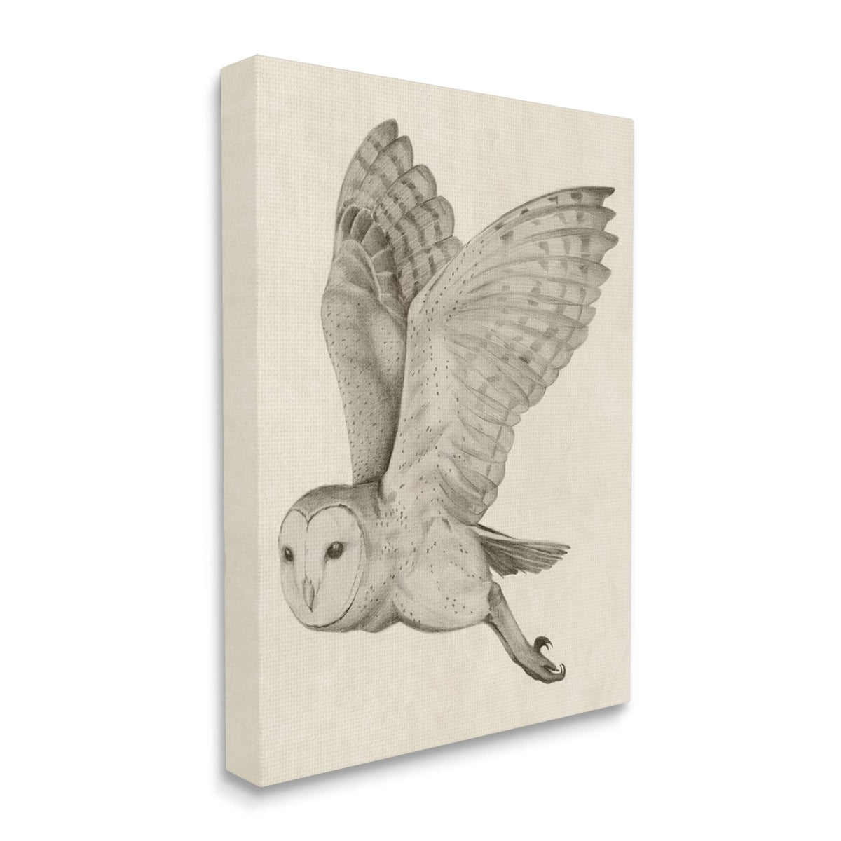 Stupell Industries Flying Barn Owl Monochrome, 16 x 20 Inch Canvas Wall Art