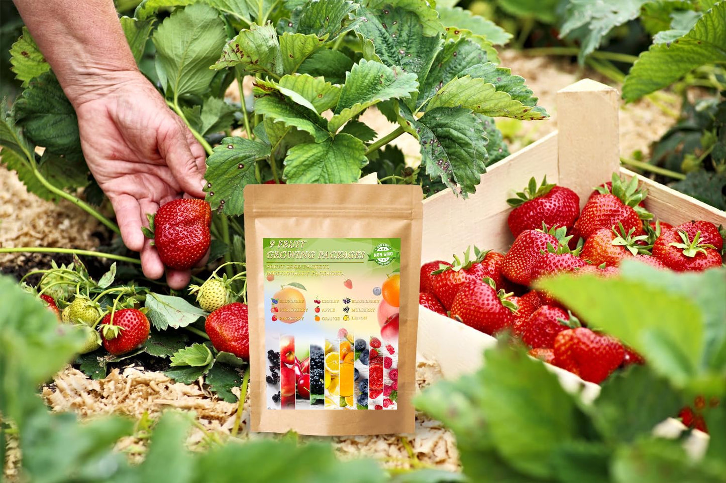 1200+ Mix Fruit Seeds Berry Seeds for Planting (9 Varieties) Heirloom Strawberry Raspberry Mulberry Apple Orange Blueberry Lemon Elderberry Cherry Seed for Home Garden
