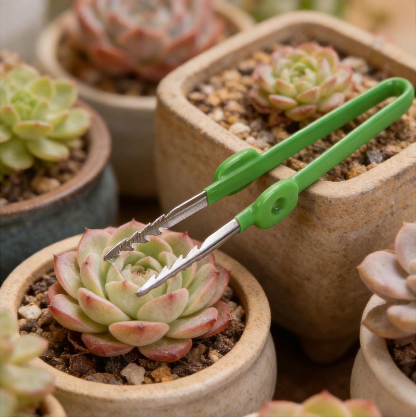 CAXUSD Garden Tweezers 7.36In Lightweight Portable Planting Tool for Succulents Bonsai and Precise Weed Removal in Home Garden Care