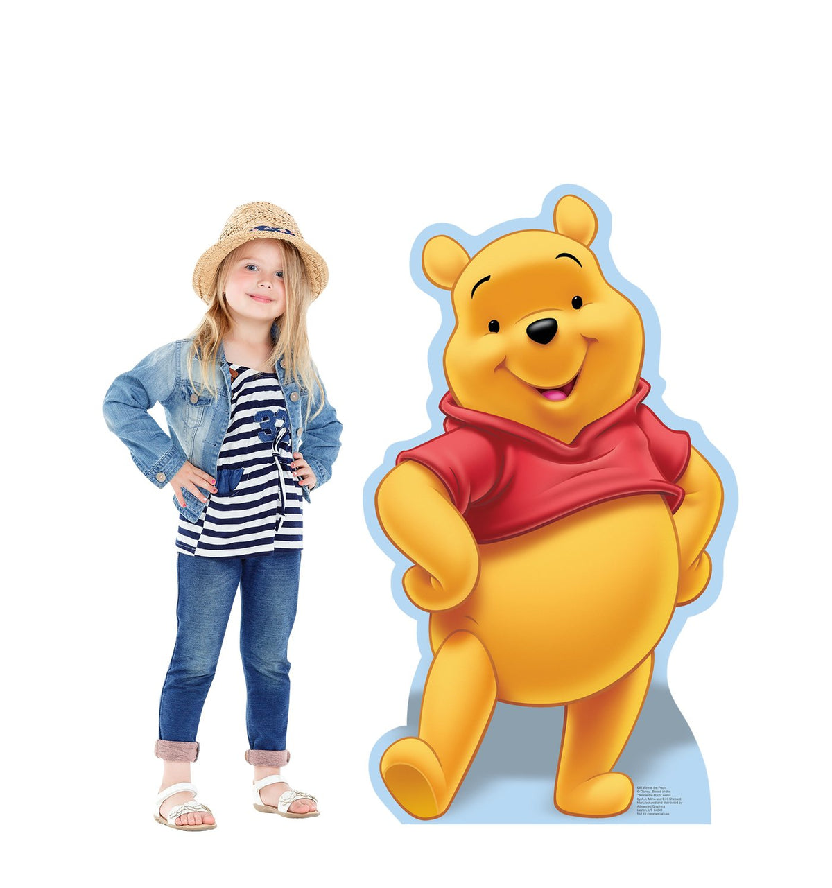 Cardboard People Winnie The Pooh Cardboard Cutout - Disney