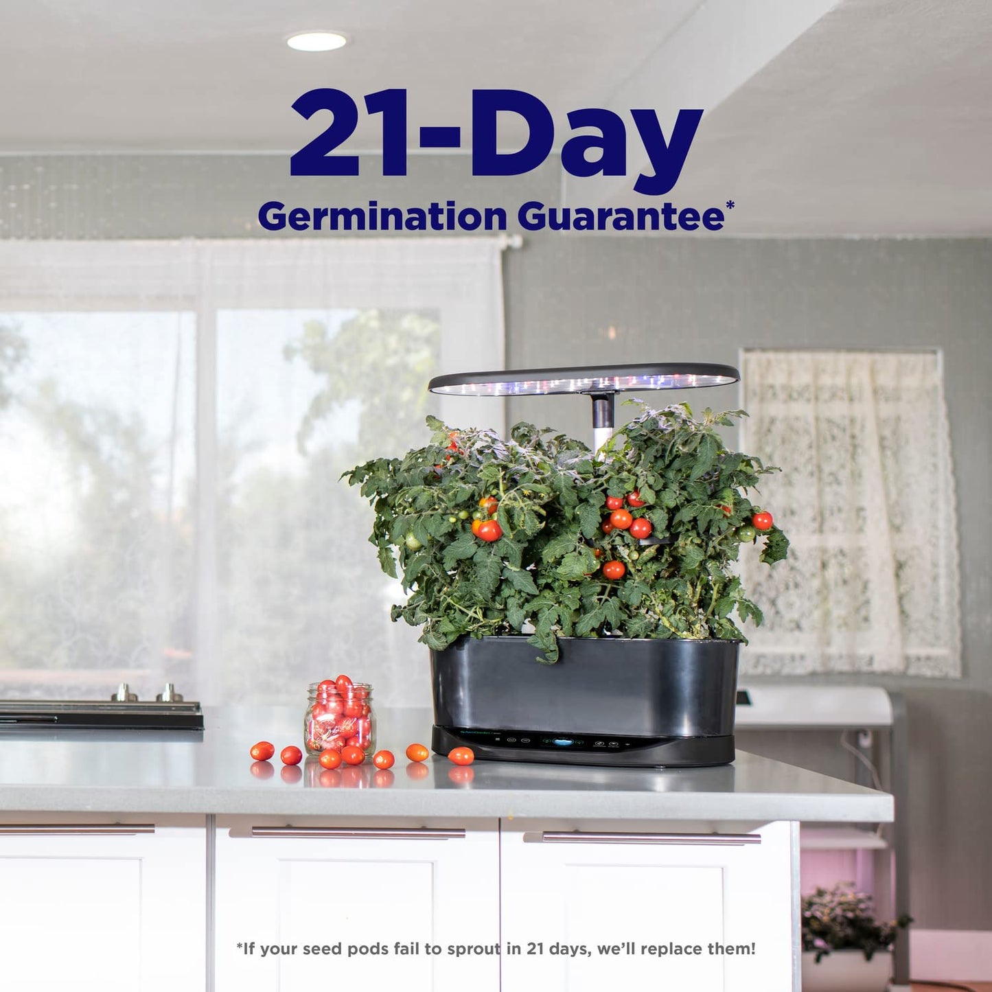 AeroGarden Bounty - Indoor Garden with LED Grow Light, WiFi and Alexa Compatible, Black