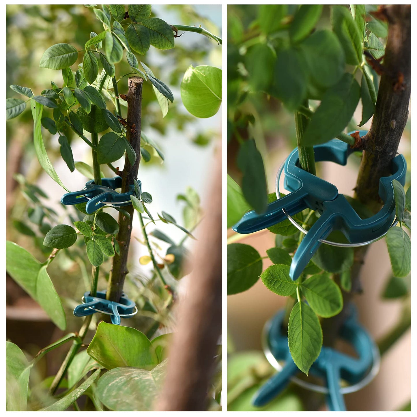 PERSZEN Plant Support Clips, 80 PCS Gentle Flower Plant Clamps for Supporting Vine Climbing Plants, Gardening Lever Loop Gripper Clips Help Stems Vines Grow Straight Upright, 2 Sizes in one Pack