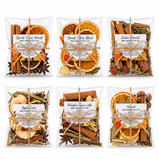 Naucoos 6 Pack Fall Simmer Pot Potpourri, Stovetop Potpourri Bag, Diversity