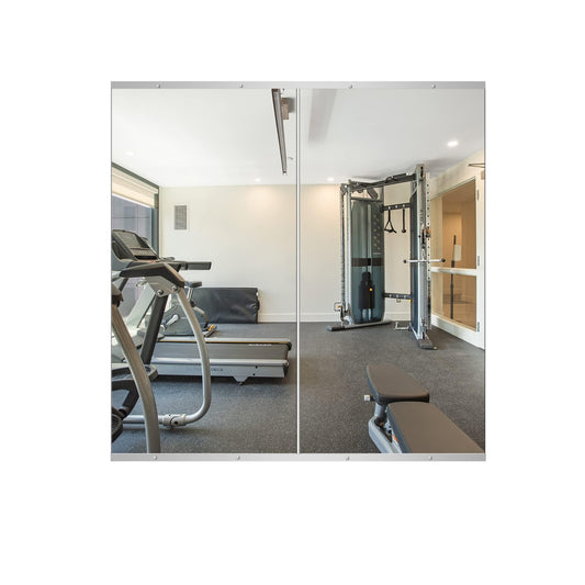 Delma Home Gym Mirror, 48"x24"x2PCS, Silver