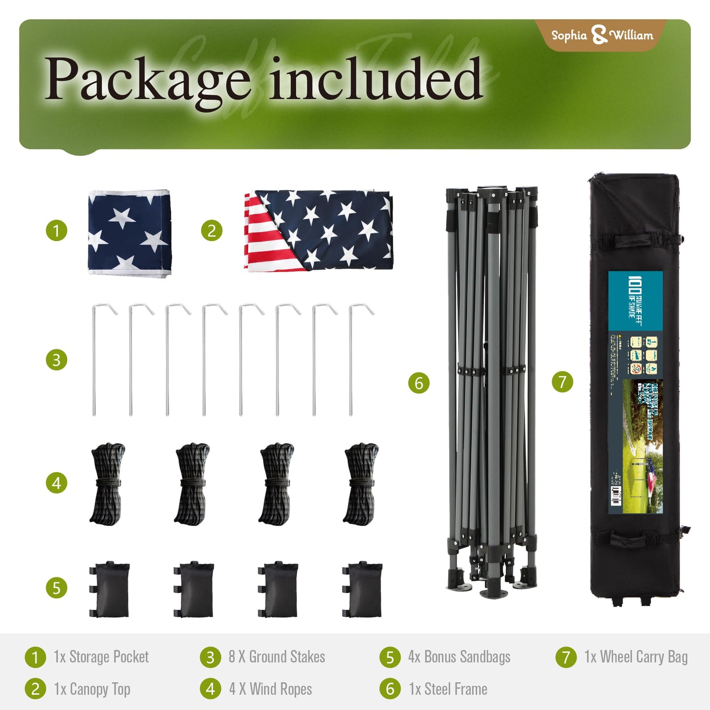 Sophia & William Canopy Tent Pop Up 10x10 ft, One Person Push Set Up Tent, Outdoor Canopies Shelter Heavy Duty Straight Legs with 4 Sandbags & Guy Ropes, 1 Roller Bag & Storage Bag, 8 Stakes, UPF50+