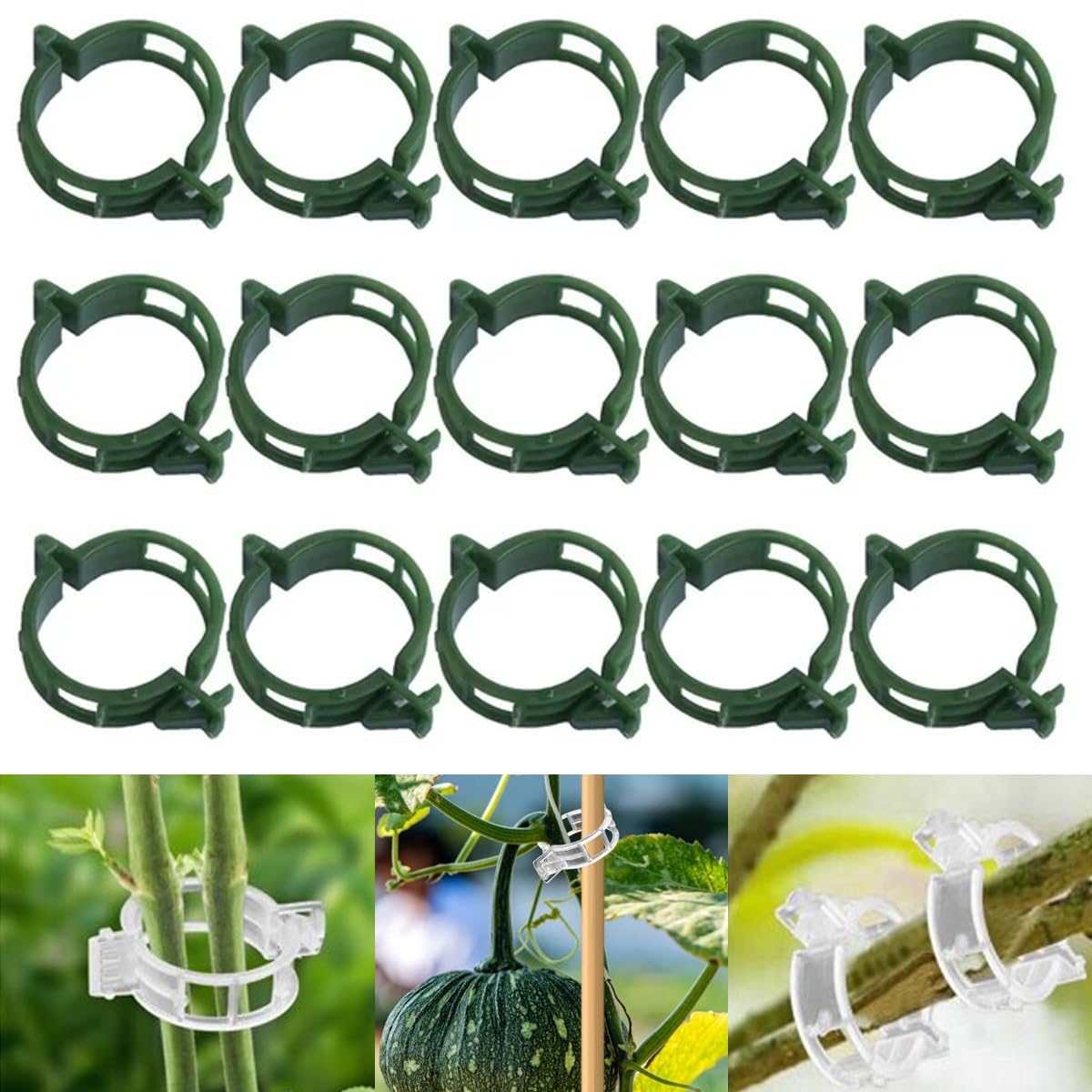 100 PCS Secured Plastic Plant Clip, Plant Support Clips, Garden Clips for Climbing Plants, Plastic Trellis Clips Plant Support Clips Tomato Grape Vine Vegetables Plant Fixing Clips (100, Green)