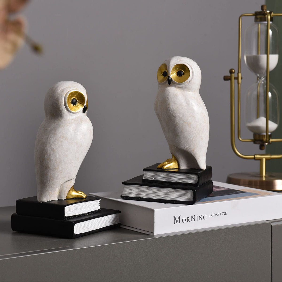 Kakizzy Book Ends for Shelves, Owl Decorative Bookends Bronze Bird Book Stopper Unique Kids Book Holders with Anti-Slip Base Luxurious Bookends for Kids Rooms Office Home Decor(White)