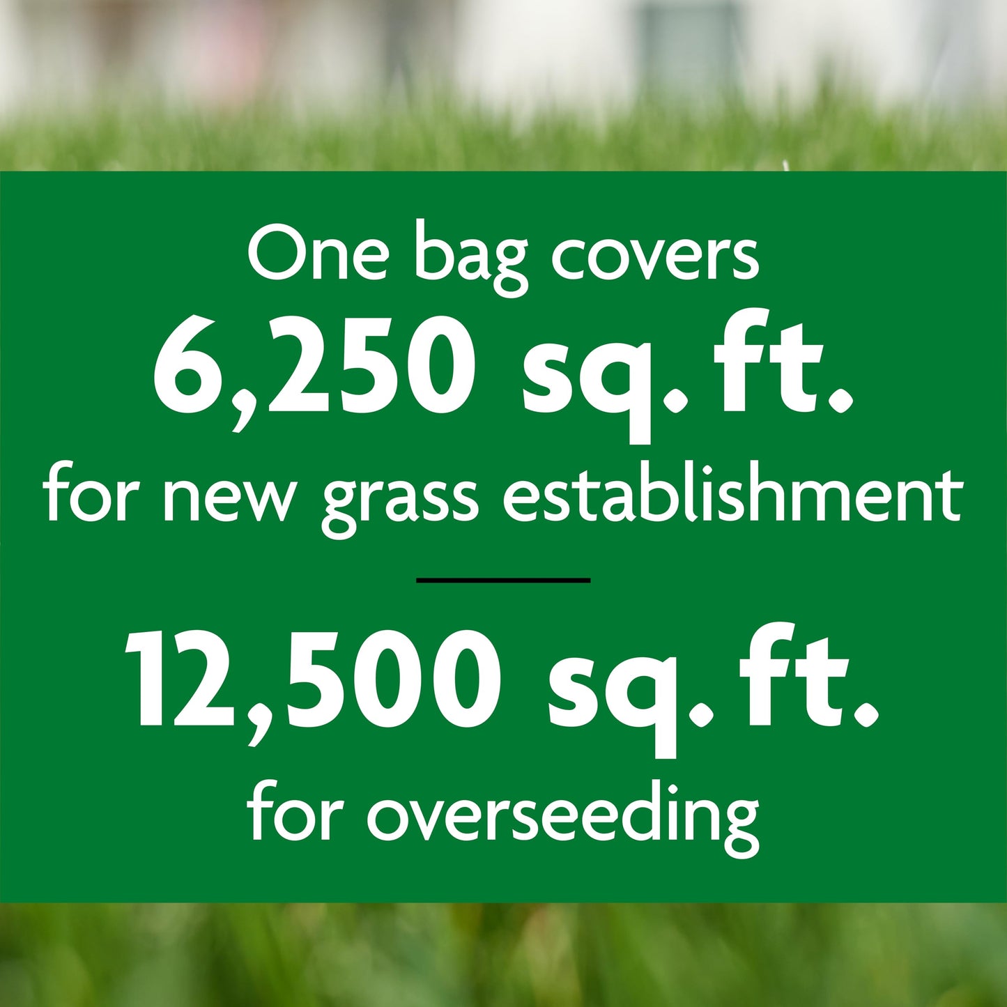 Scotts Professional Turfgrass Seed Tall Fescue Mix, 50 lbs.