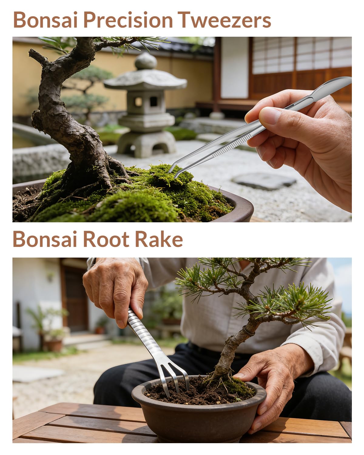 Bonsai Tool Set 6PCS with Wood Box– Concave Cutter, Knob Cutter, Pruning Shears, Trunk Splitter, Root Rake & Precision Tweezers – Professional Stainless Steel Bonsai Tools for Pruning & Repotting