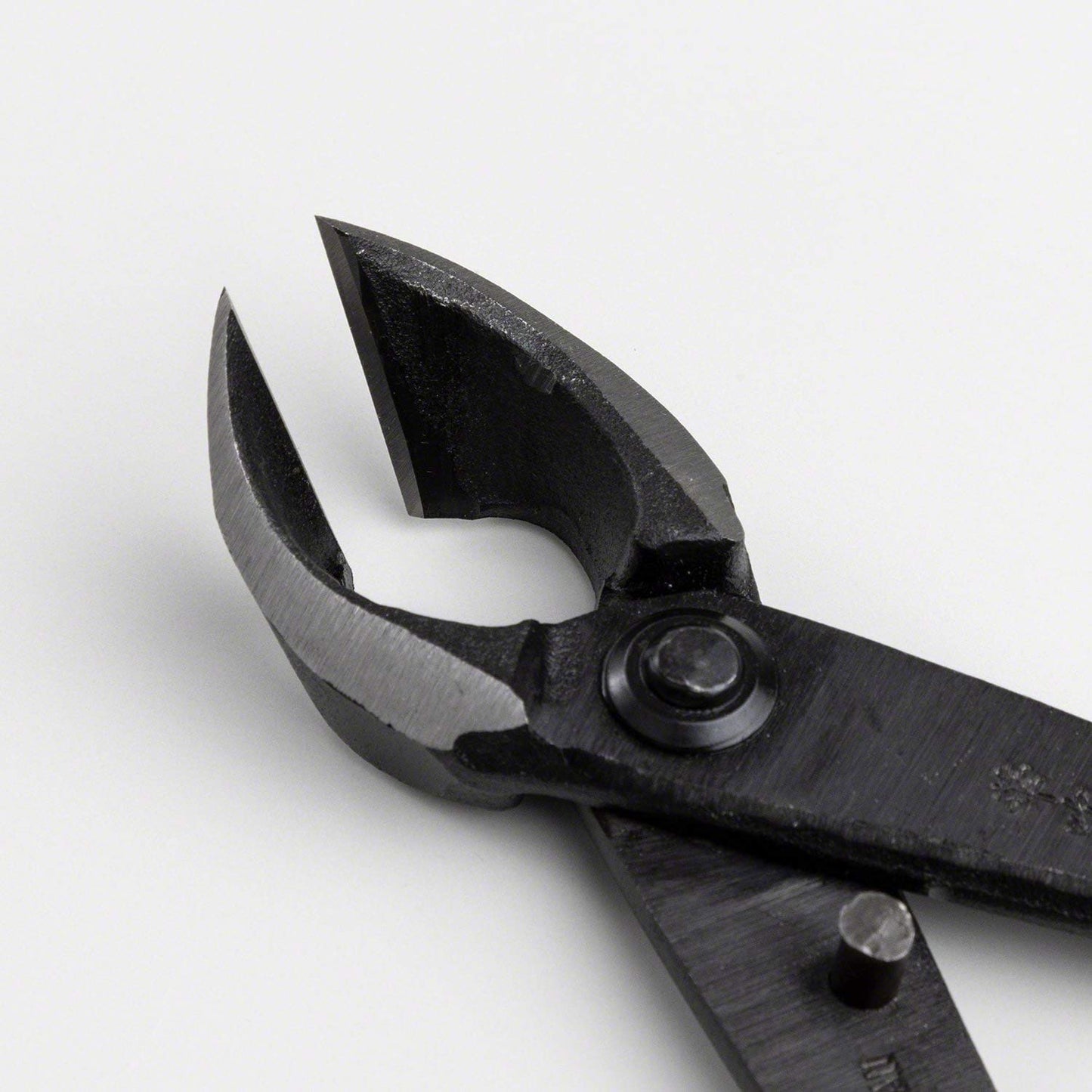 Wazakura Hand Forged Bonsai Concave Branch Cutter, Made in Japan 8 inch (200mm), Japanese Gardening Tools, Straight Edge Black
