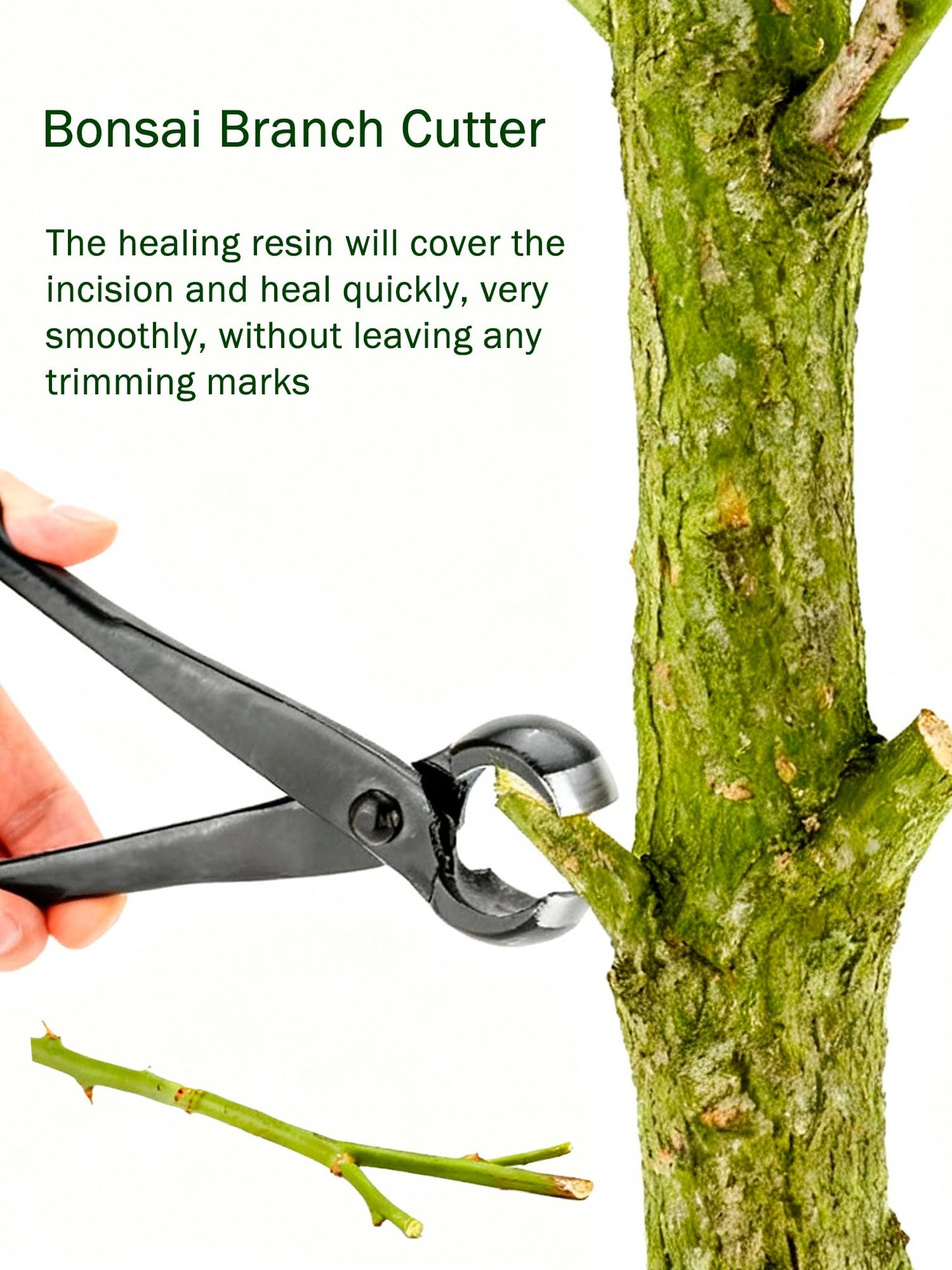 Haosie Bonsai Concave Cutter, Bonsai Tools Concave Cutter, 8.4 Inch Manganese Steel Alloy Sharp Blade Round Edge Knob Cutter, Gardening Concave Pruner(210mm / 8.27inch)(210mm)