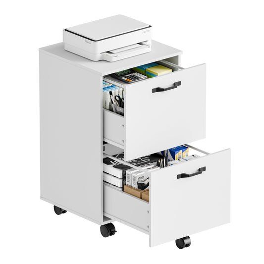 DUMOS 2 Drawer Storage Cabinet, Rolling Under Desk Storage, White