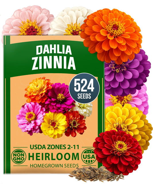 HOME GROWN Zinnia Dahlia Seeds Pack for 2026 Non GMO 524 Flower Seeds | Vibrant Zinnia Elegans for Pollinator Gardens, Borders & Containers | Easy-to-Grow Outdoor Blooms