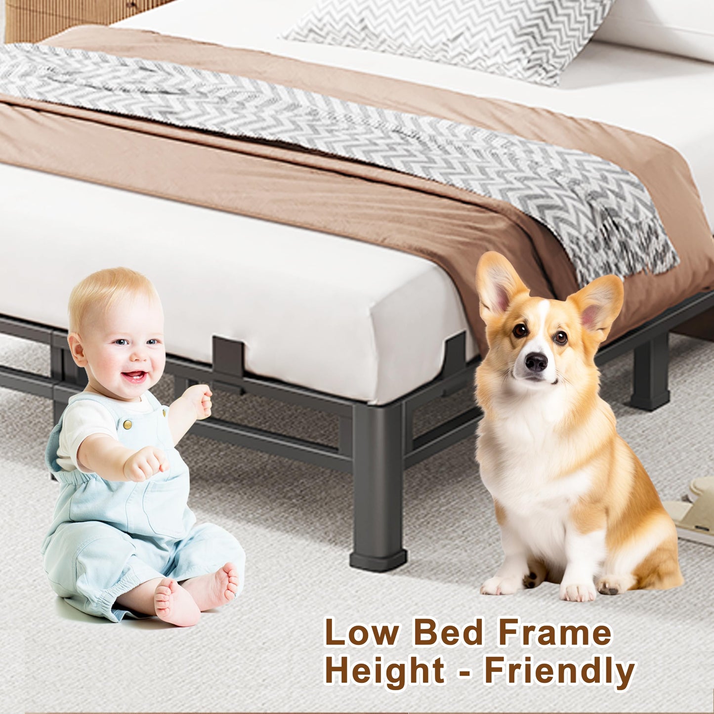 ROIL 10 Inch Queen Bed Frame, Metal Bed Frame & Box Spring 2 in 1 Platform with Round Corner Legs, 4000LBS Double Layer Low Profile Metal Platform Mattress Baffles, Noise-Free Easy Assembly
