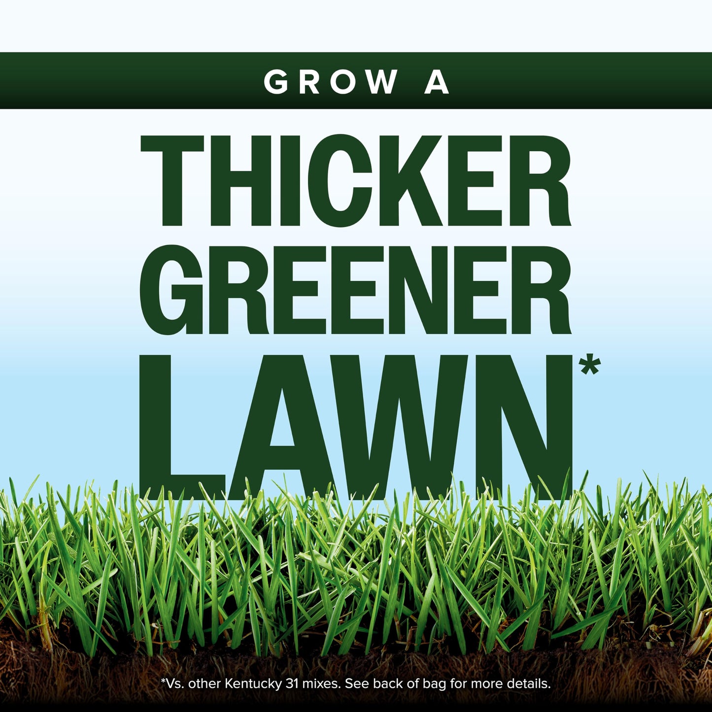 Scotts Kentucky 31 Grass Seed Mix, 7 lbs.