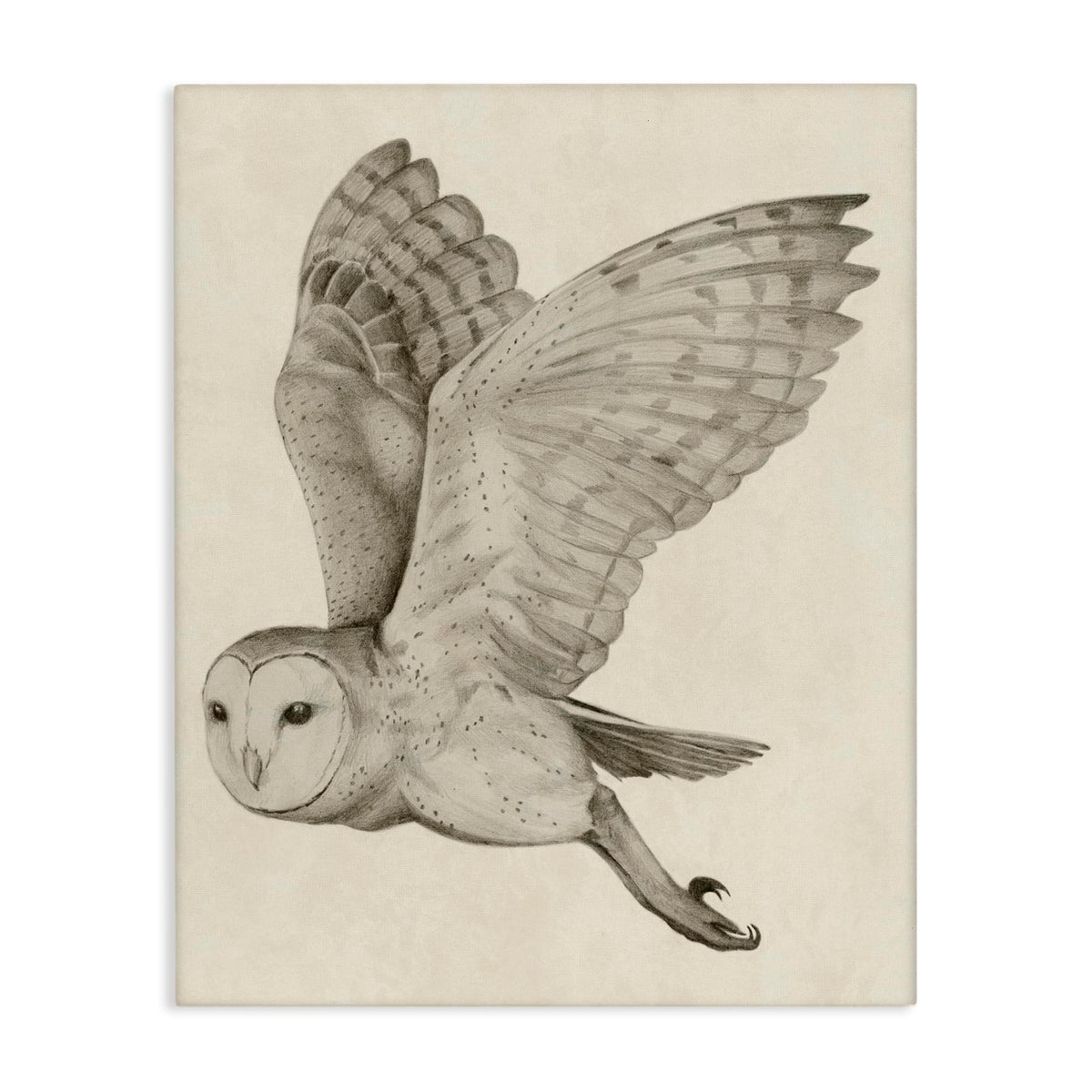 Stupell Industries Flying Barn Owl Monochrome, 16 x 20 Inch Canvas Wall Art