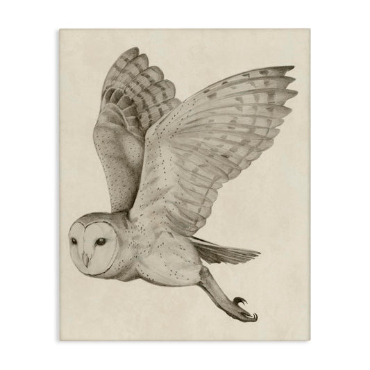 Stupell Industries Flying Barn Owl Monochrome, 16 x 20 Inch Canvas Wall Art