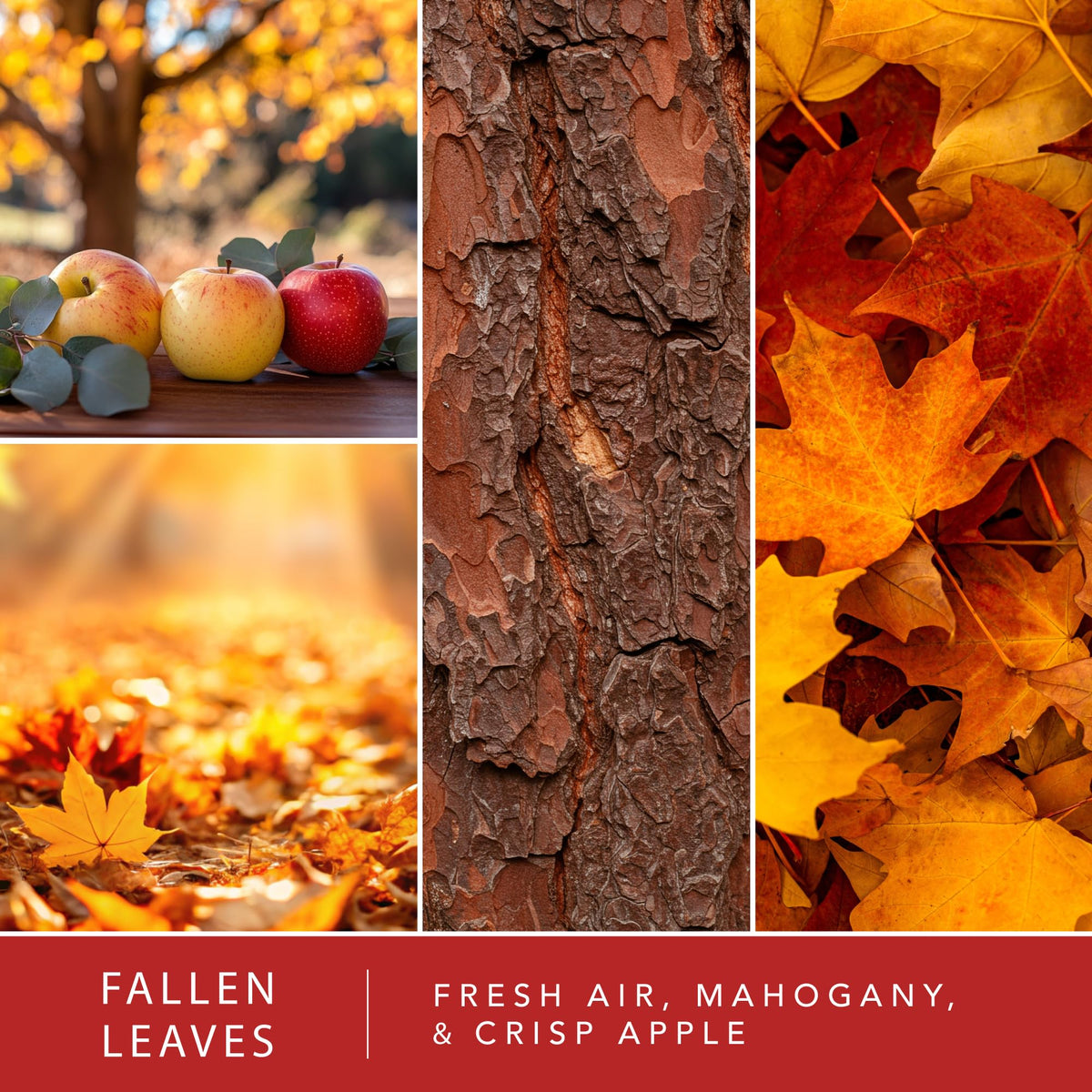 Scentsationals Fallen Leaves, Autumn Air Fall Wax Melts 10oz (24 Cubes)