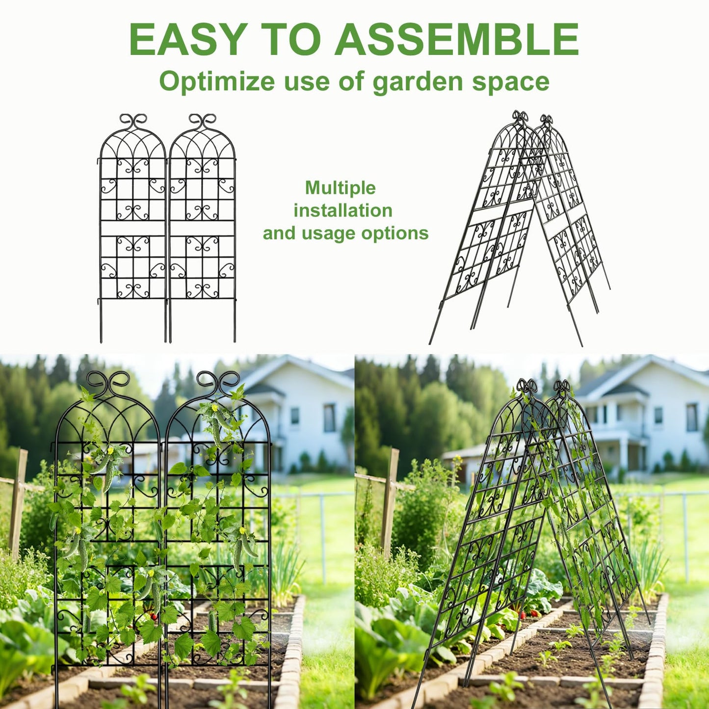 Lorenzo 2 Pcs 70 x 19.7 Inch Metal Garden Trellis for Climbing Plants Outdoor, Black Coated Frame, Plant Support for Outdoor Roses Vines Cucumber Vegetables