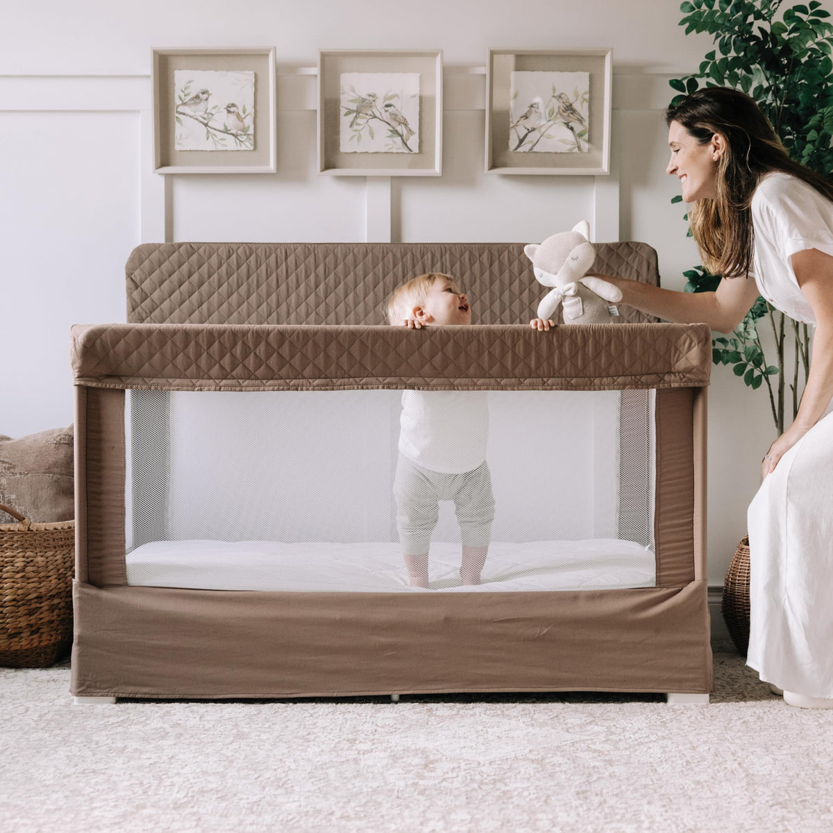 Baby Delight Lunaire Organic Full Size Crib, Organic Mocha