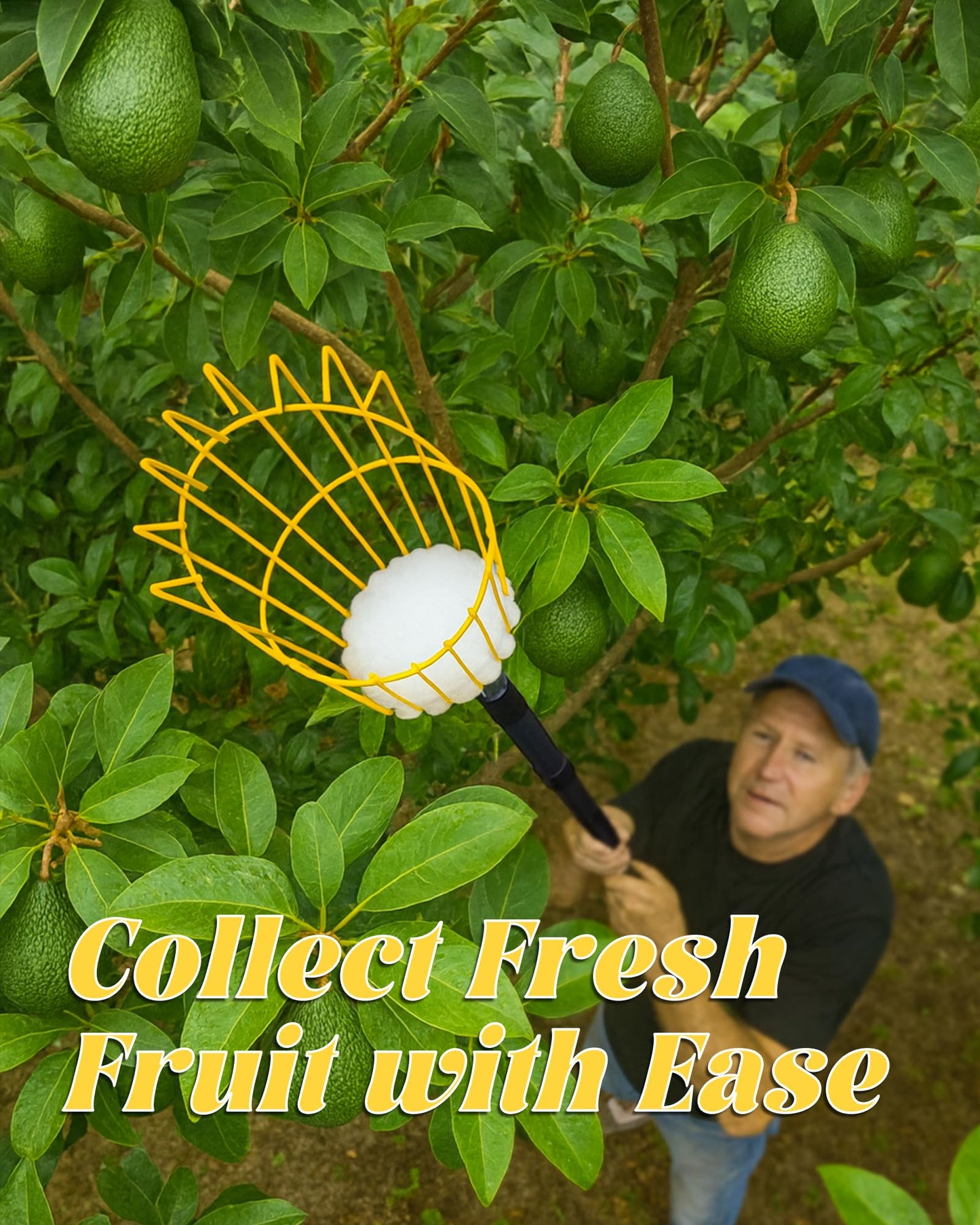 BlumeTrec 9FT Fruit Picker with Basket, Apple Picking Tool 35–105 Inch Adjustable Pole, Long-Handle Mango Grabber, Tree Fruit Catcher for Harvesting Lemon Pear Orange Avocado Peach Citrus Grapefruit