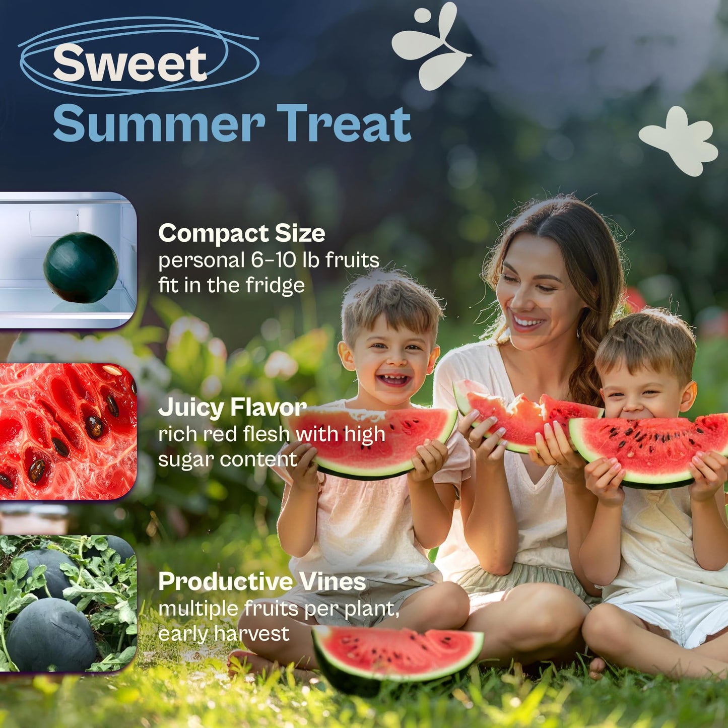 SVI 75 Sugar Baby Watermelon Seeds for Planting (Citrullus lanatus) – Sweet Watermelon, Heirloom Mini Watermelons – Fruit Seeds to Plant in Outdoor Garden & Large Containers