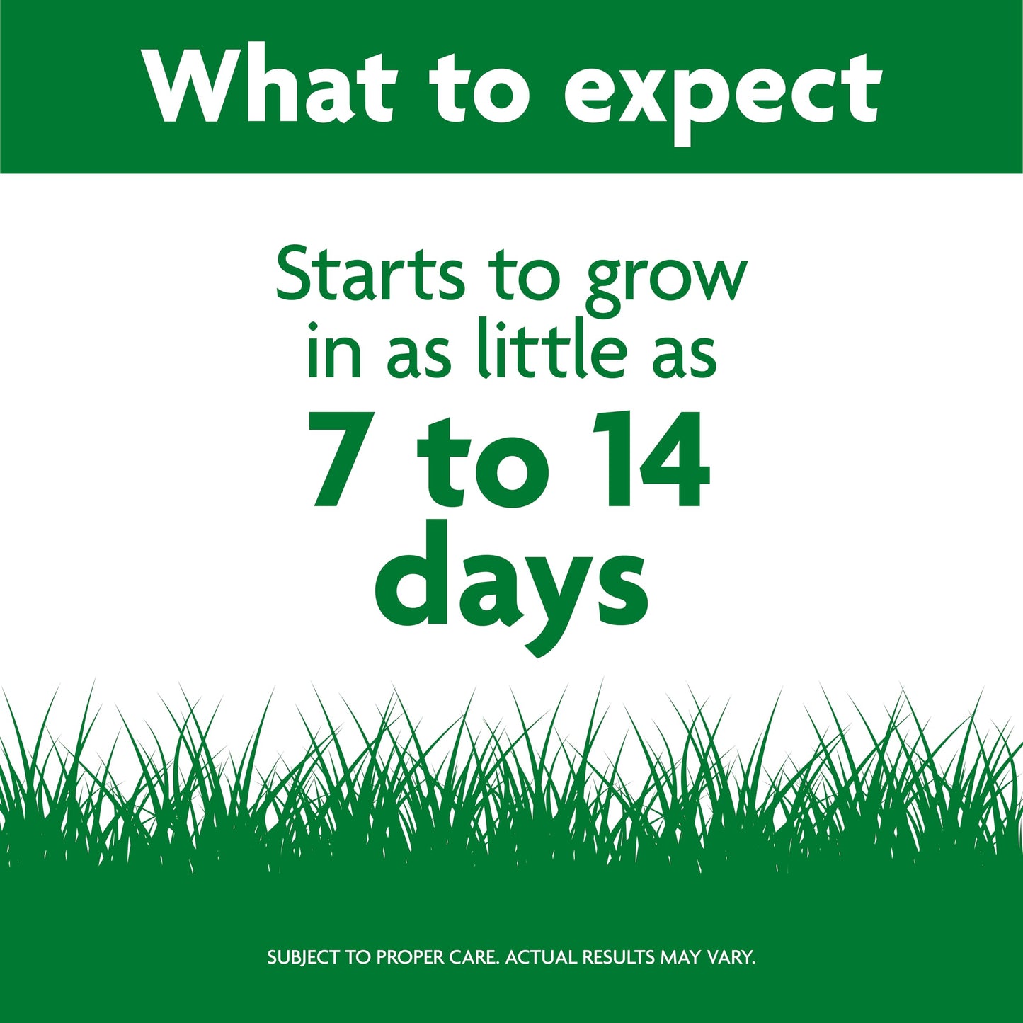 Scotts Professional Turfgrass Seed Tall Fescue Mix, 50 lbs.