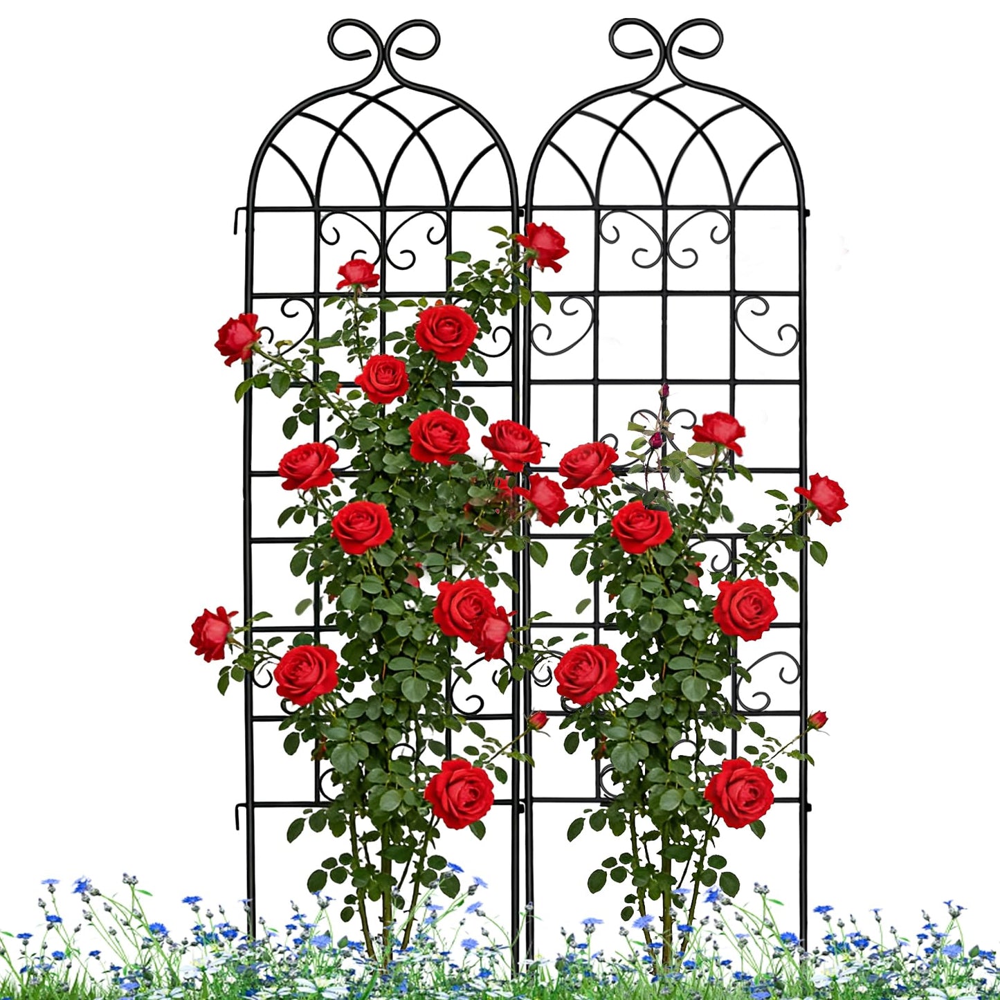 Lorenzo 2 Pcs 70 x 19.7 Inch Metal Garden Trellis for Climbing Plants Outdoor, Black Coated Frame, Plant Support for Outdoor Roses Vines Cucumber Vegetables