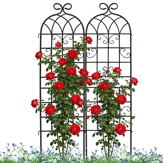 Lorenzo 2 Pcs 70 x 19.7 Inch Metal Garden Trellis for Climbing Plants Outdoor, Black Coated Frame, Plant Support for Outdoor Roses Vines Cucumber Vegetables