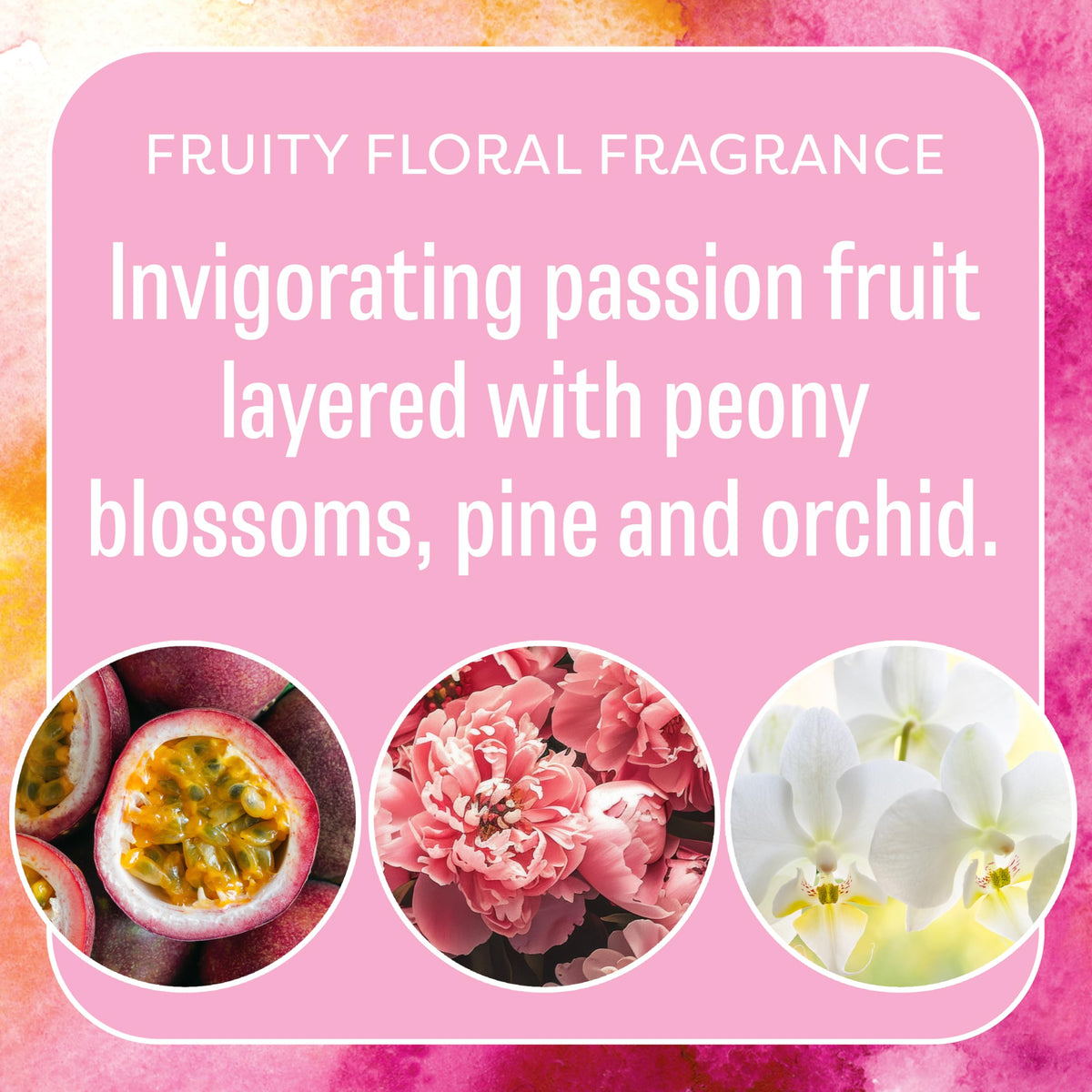 Fresh Scents Hello Gorgeous Scented Sachets 6 Pack