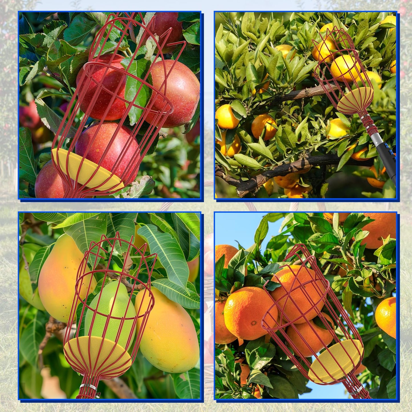 Karveden 26FT Reach Fruit Picker Pole with Basket Telescoping, 5-20FT Extendable Aluminum Apple Picker for Picking Avocados, Figs, Mangoes, Citrus Fruits - Durable Harvesting Fruit Catcher for Trees