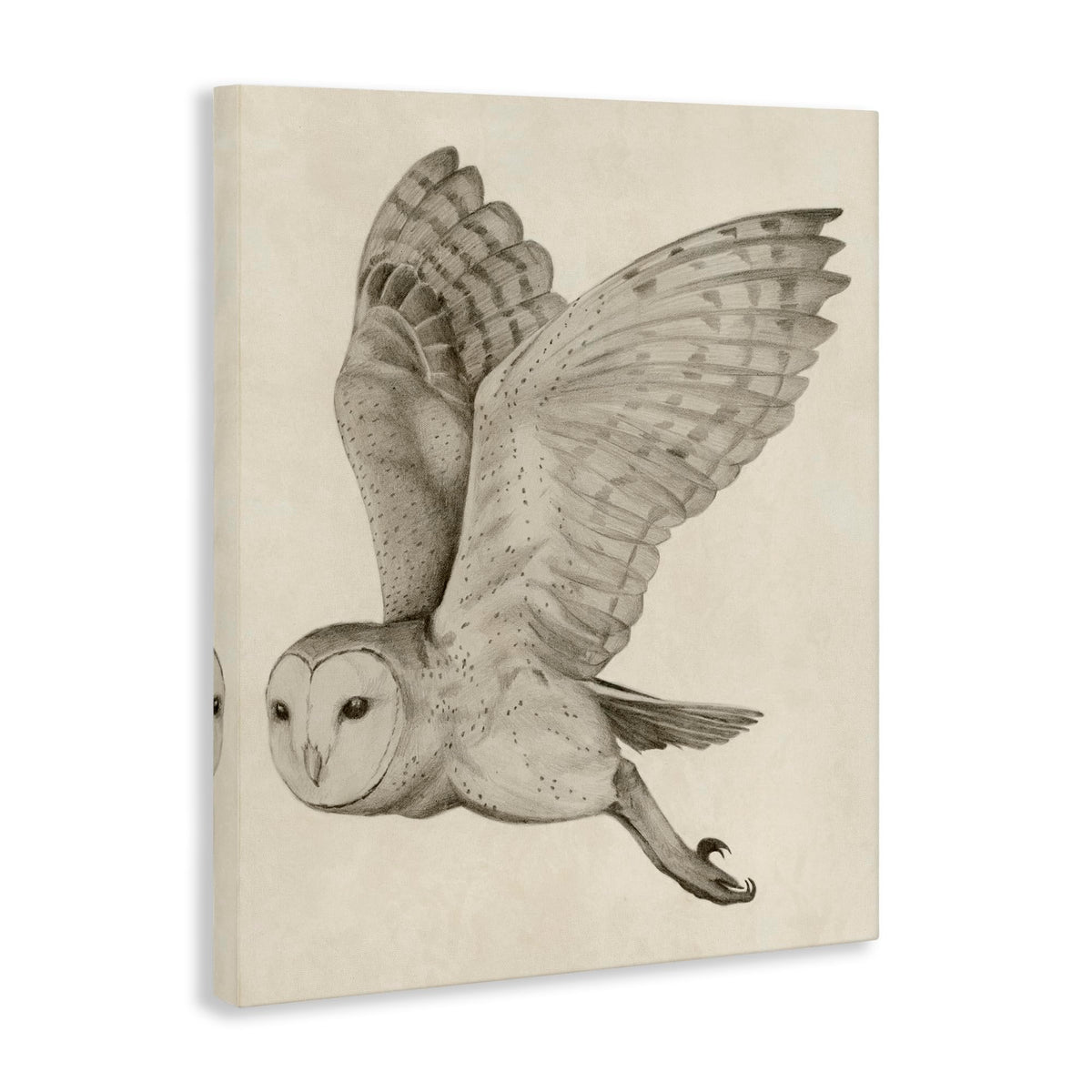 Stupell Industries Flying Barn Owl Monochrome, 16 x 20 Inch Canvas Wall Art
