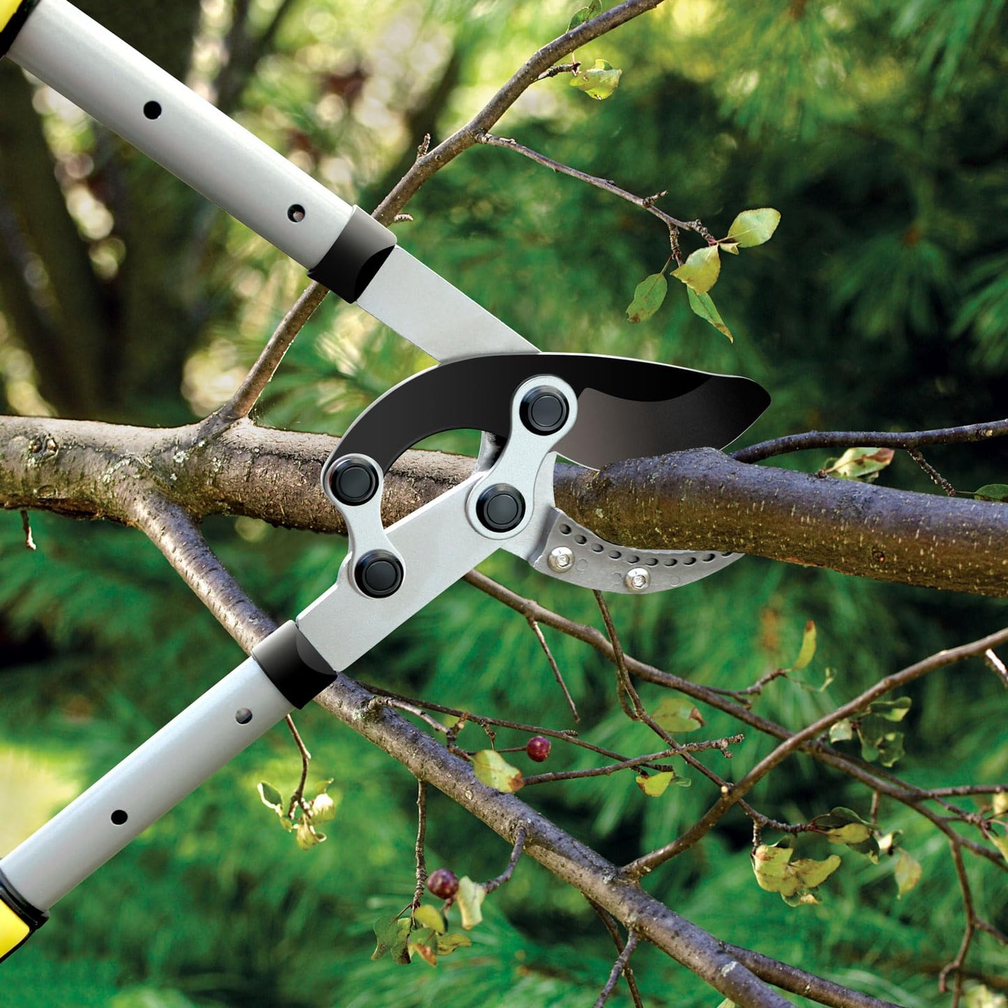 Jardineer Loppers for Tree Trimming Heavy Duty with Compound Action, Labor-Saving Branch Cutter with 2 Inch Capacity, 5-Level Extendable 28-39 Inch Telescoping Handle Tree Trimmer for Yard Work