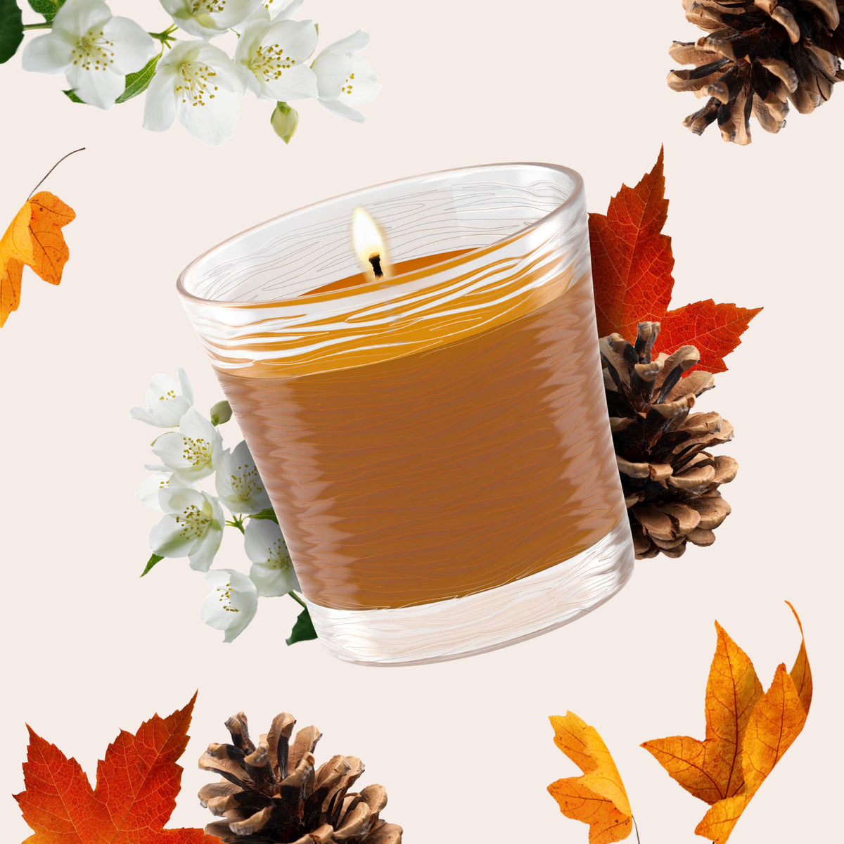 Glade 1-Wick Scented Candle Jar, Cashmere Woods, 2 Count