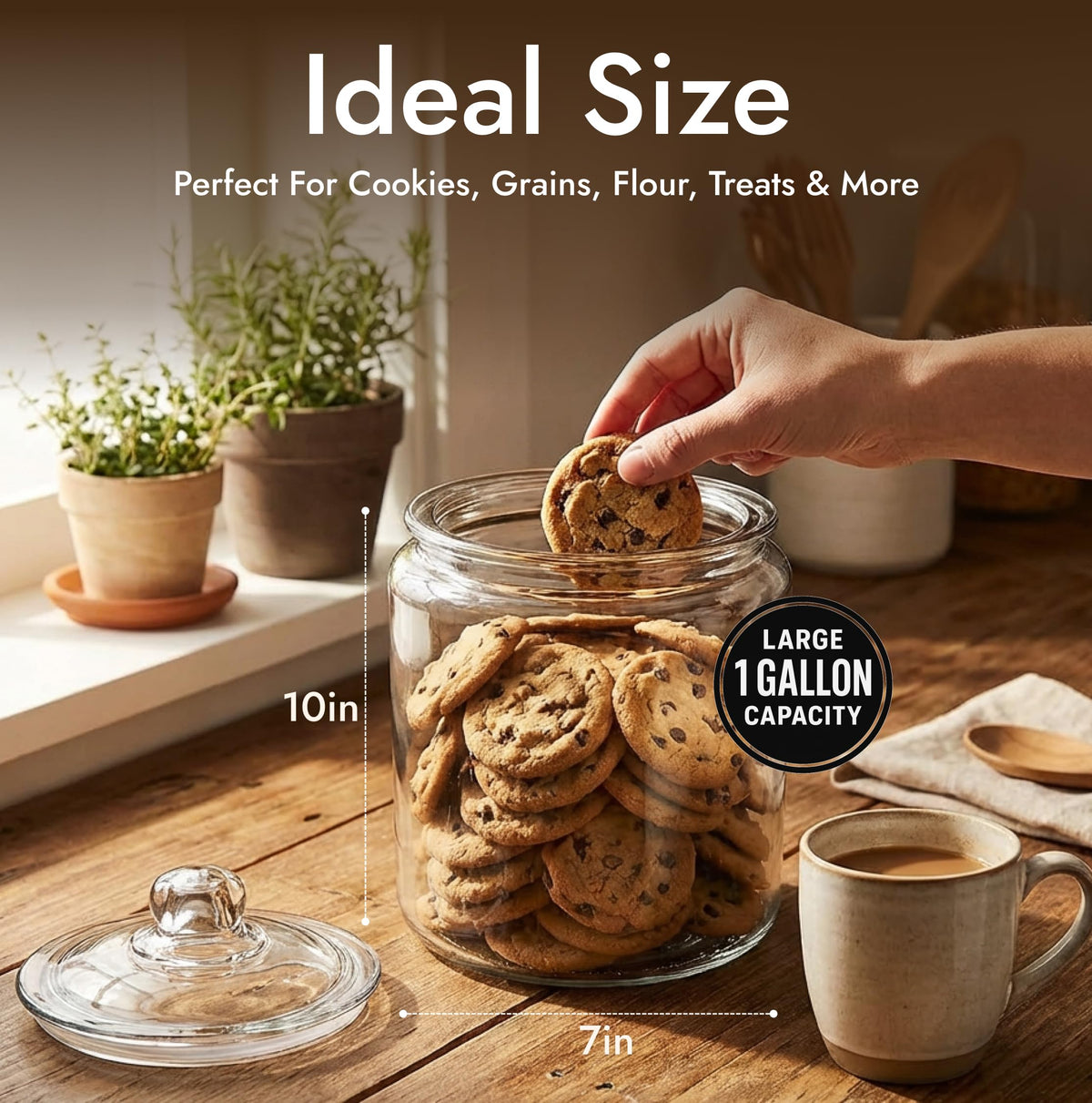 kitchentoolz 1 Gallon Glass Cookie Jar with Lid & Candy Jar | Glass Jars